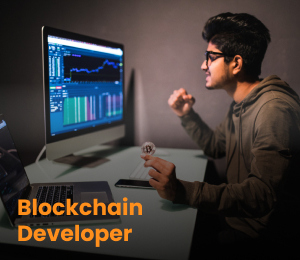 Blockchain Developer